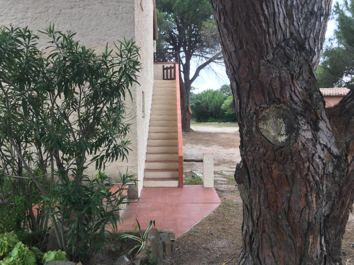 Monolocale A Rena Majore Di Gallura Ngoại thất bức ảnh