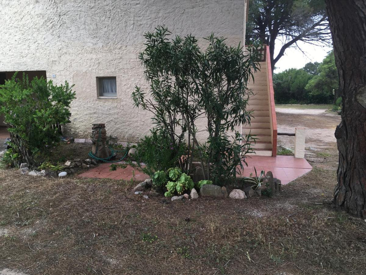 Monolocale A Rena Majore Di Gallura Ngoại thất bức ảnh